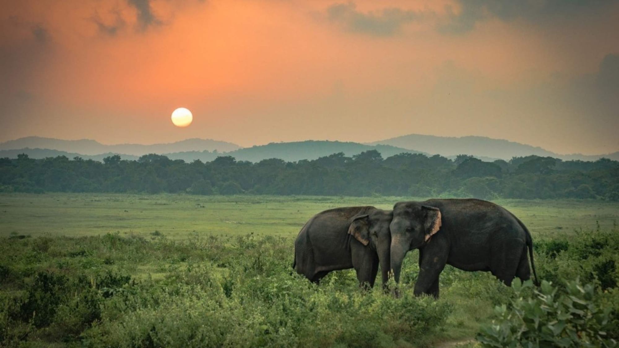 10. Galle Fort – Slow-Motion Sunset – Top 10 Places for a Magical Sunrise or Sunset in Sri Lanka