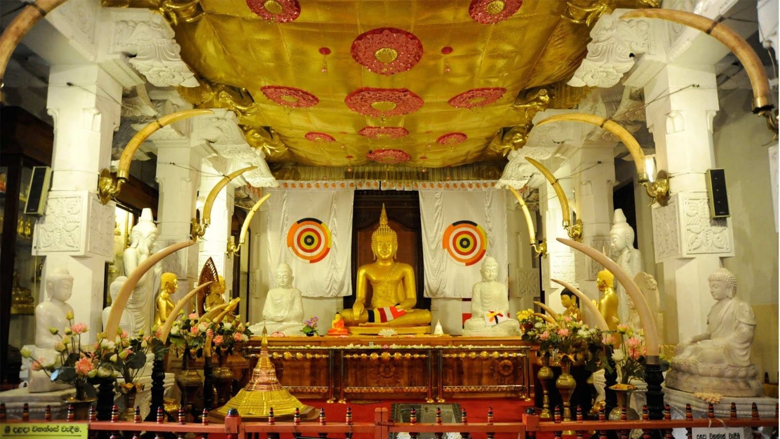 The Holy Tooth That Brings a Nation to its Knees – 10 Top-Rated Tourist Attractions in Sri Lanka (2025 Guide)