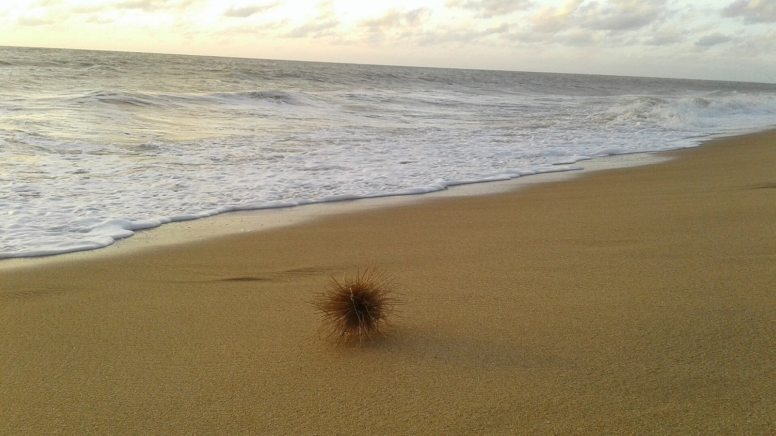 Deserted sandy beach at Kalpitiya on the west coast