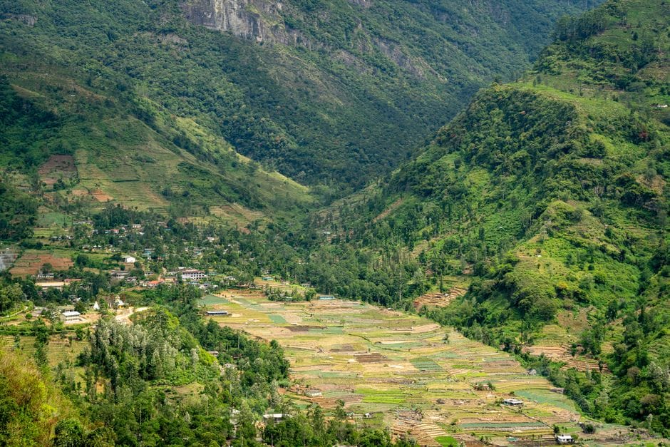 Explore the lush greenery and terraced fields of Mandaram Nuwara, a picturesque Sri Lankan village.