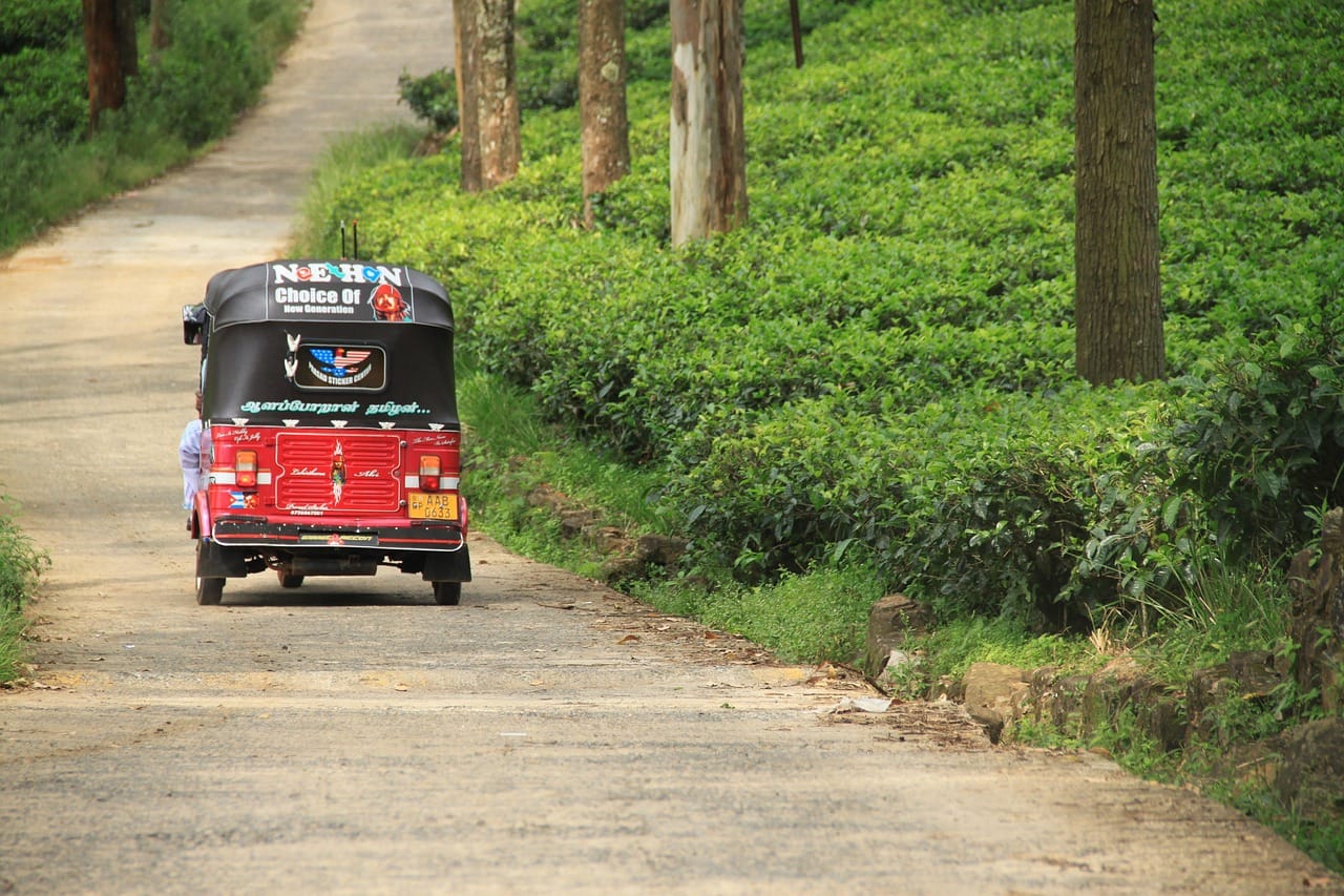 Tuk-tuk on a tea estate road in Sri Lanka