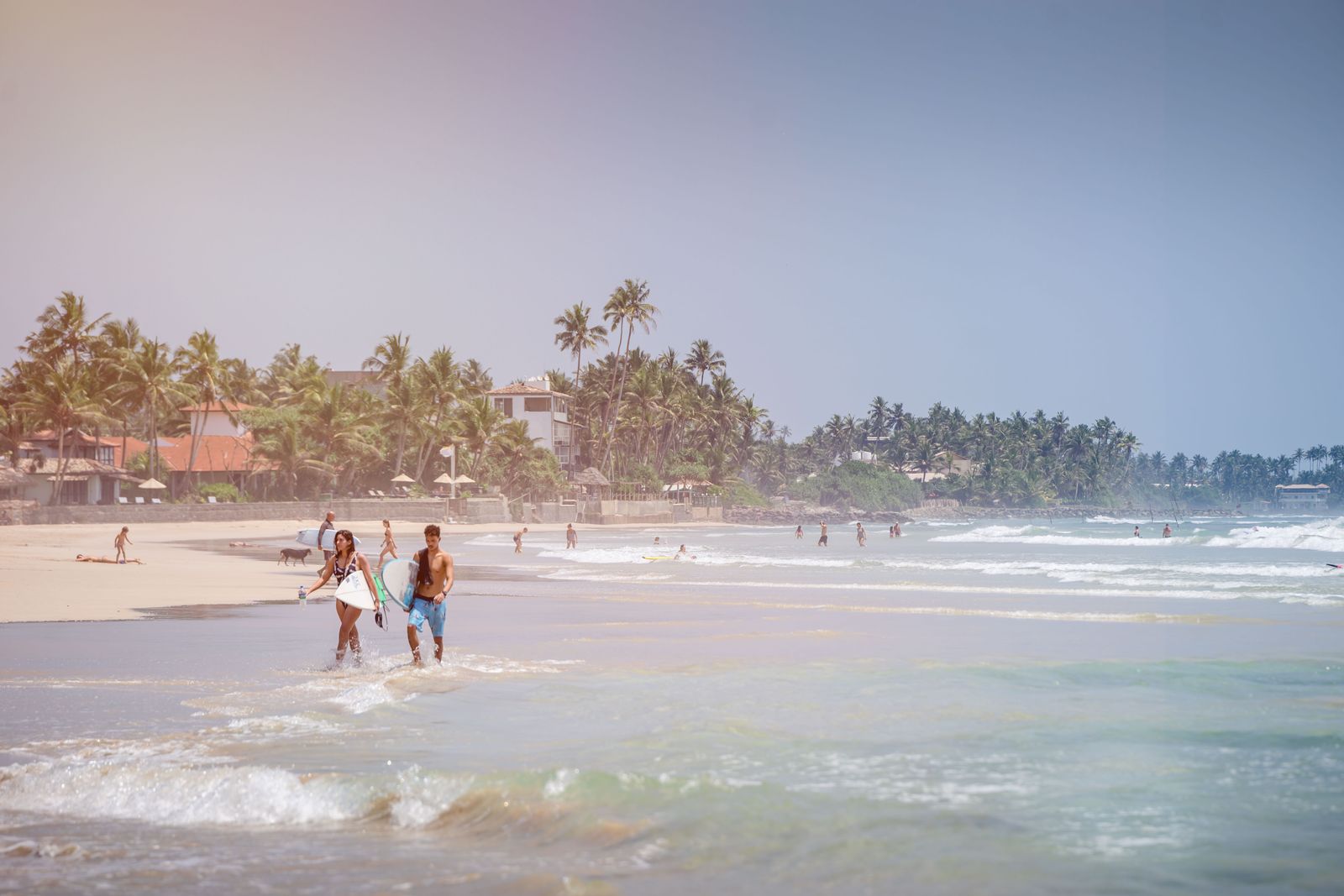 Surfers carrying their boards along the beach in Sri Lanka Surfers carrying their boards along the beach in Sri Lanka