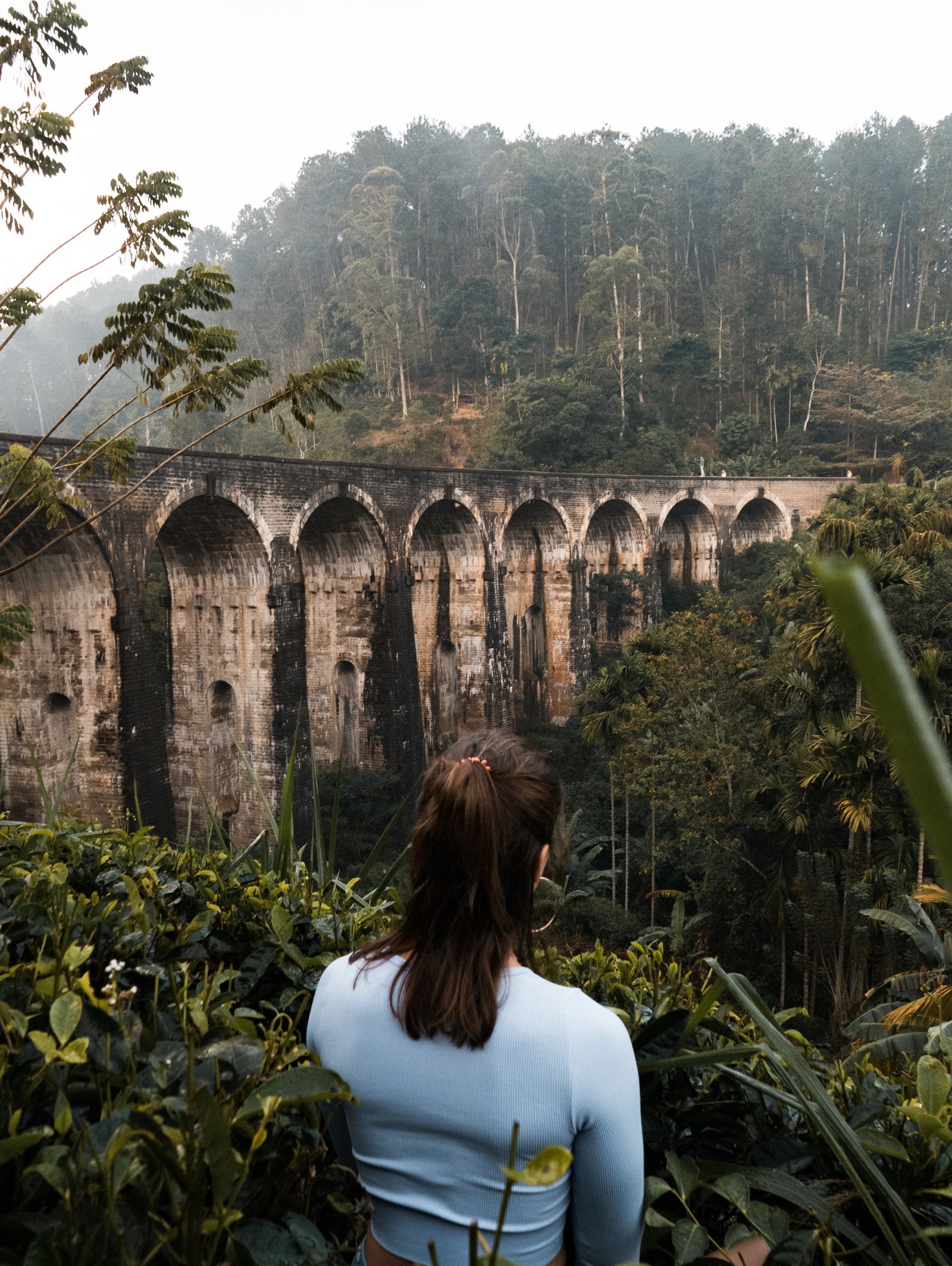 Lush jungle surrounding the Nine Arches Bridge in Ella, Sri Lanka Lush jungle surrounding the Nine Arches Bridge in Ella, Sri Lanka