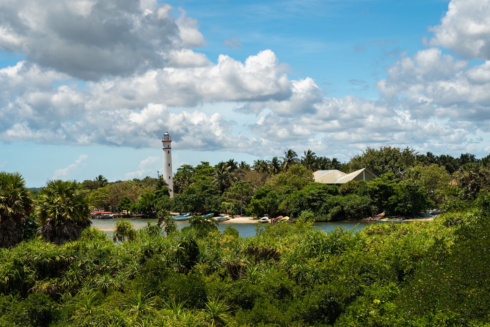 The greenery and serene waters of Batticaloa Lagoon, Sri Lanka